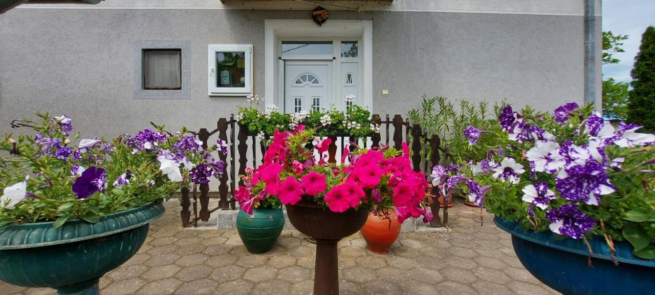 Guest House Dunavski Raj Kostol Exterior foto